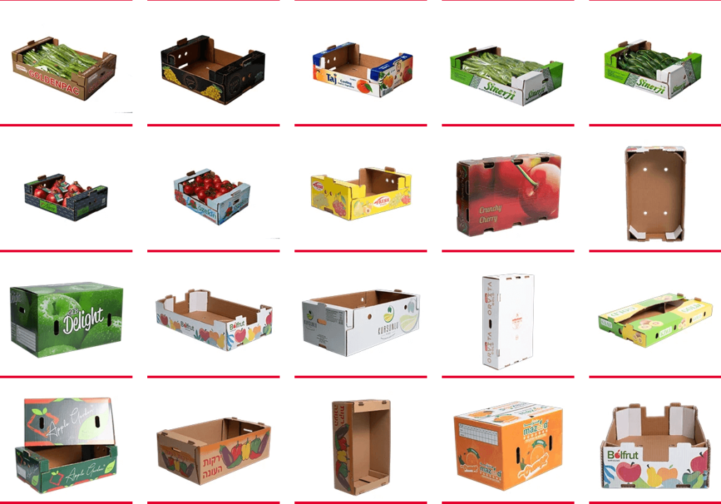 Vegetable and Fruit Boxes (1)